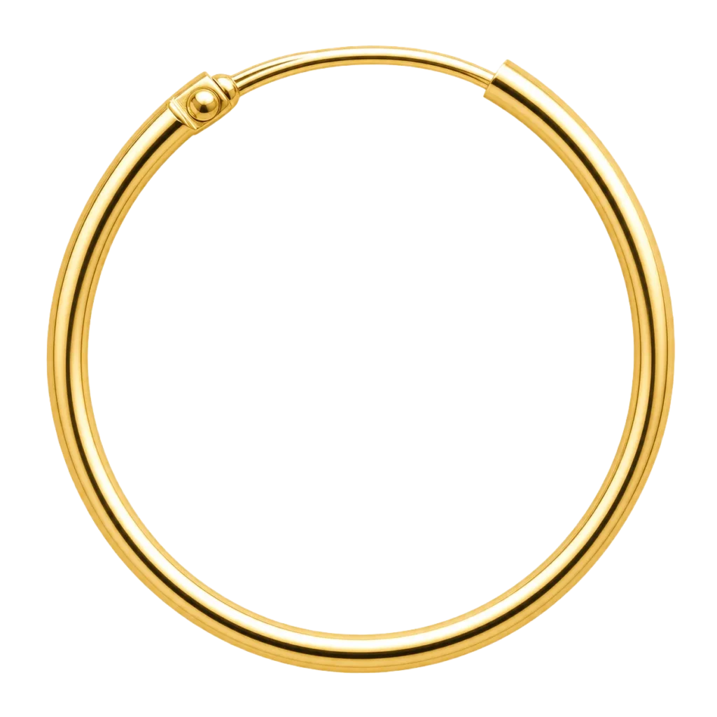 Gold Hoop Nose Ring PNG