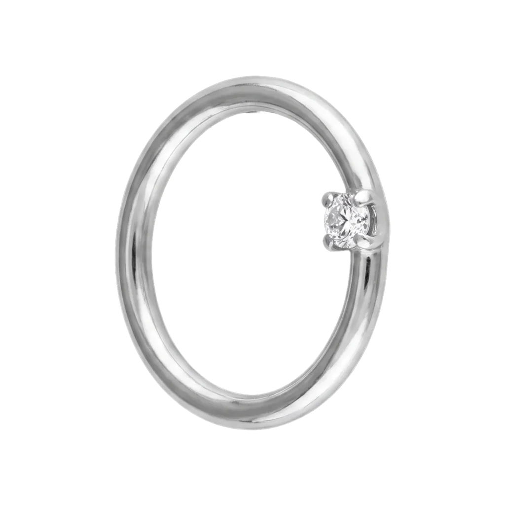 Silver Nose Ring PNG
